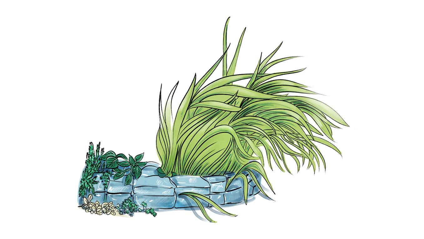 A drawing of leaves and grass growing from ground-level stone masonry