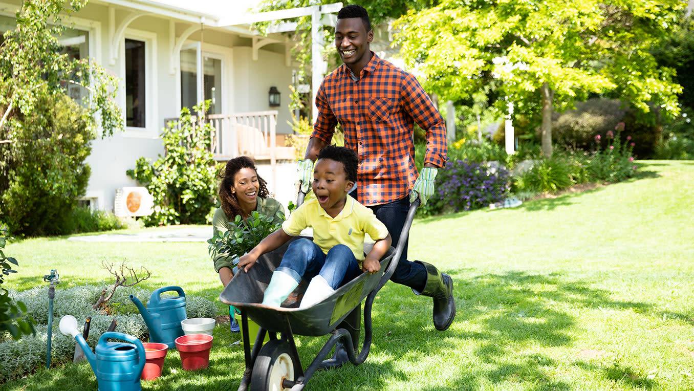 An African American father pushes his young sun across the lawn in a wheel barrow while his wife, gardening, looks on