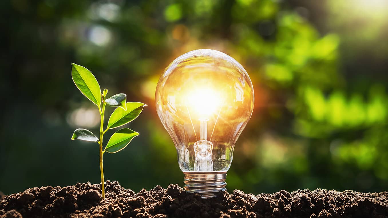 Bulbe de lumière illuminé planté dans le sol près d’une plante