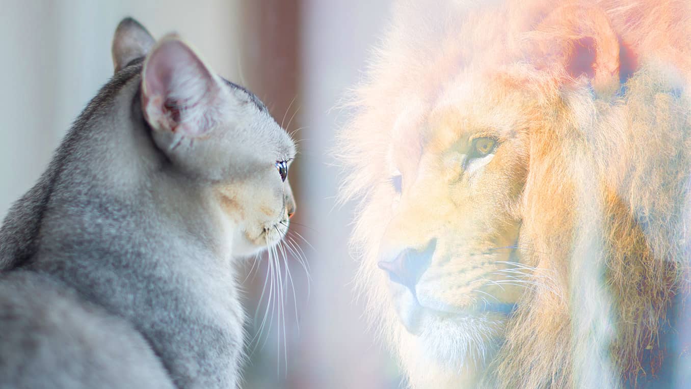 Get out of Your Head, Your Habits and Your Own Way